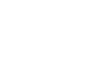 MB Sanedma